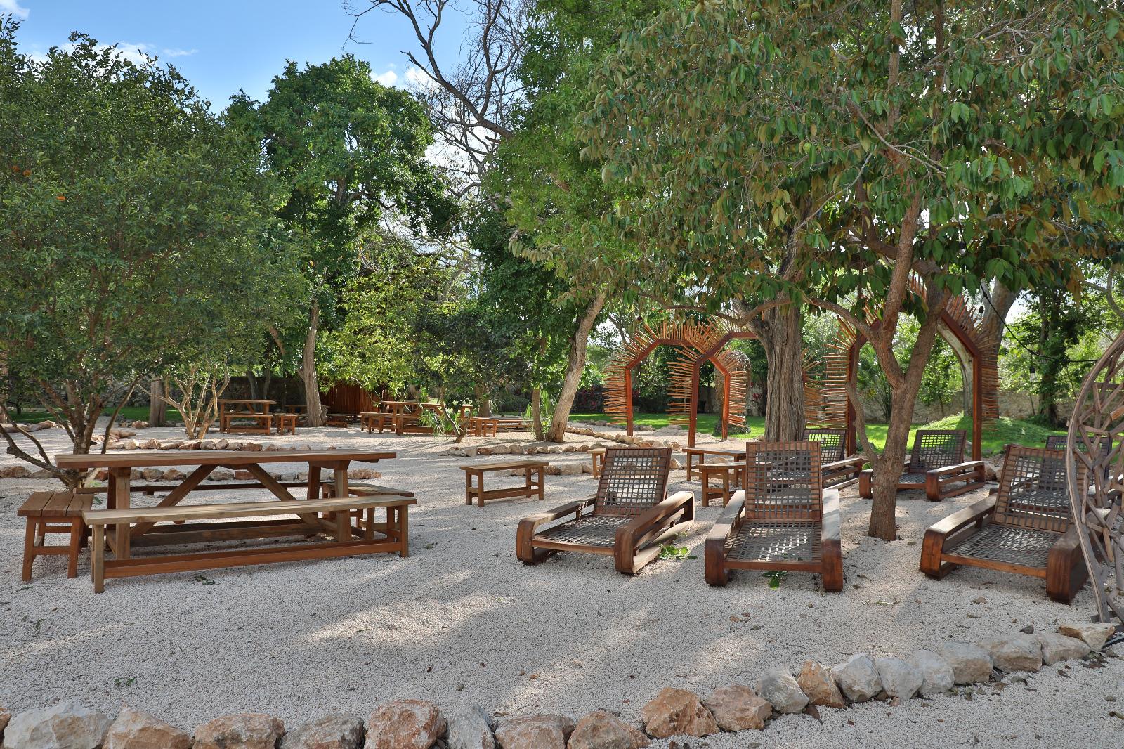 Vista al Jardín — deck de madera con vegetación tropical