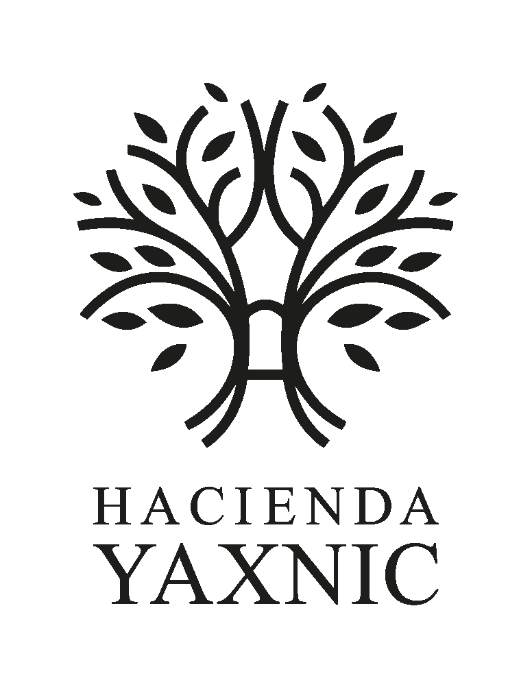 Hacienda Yaxnic