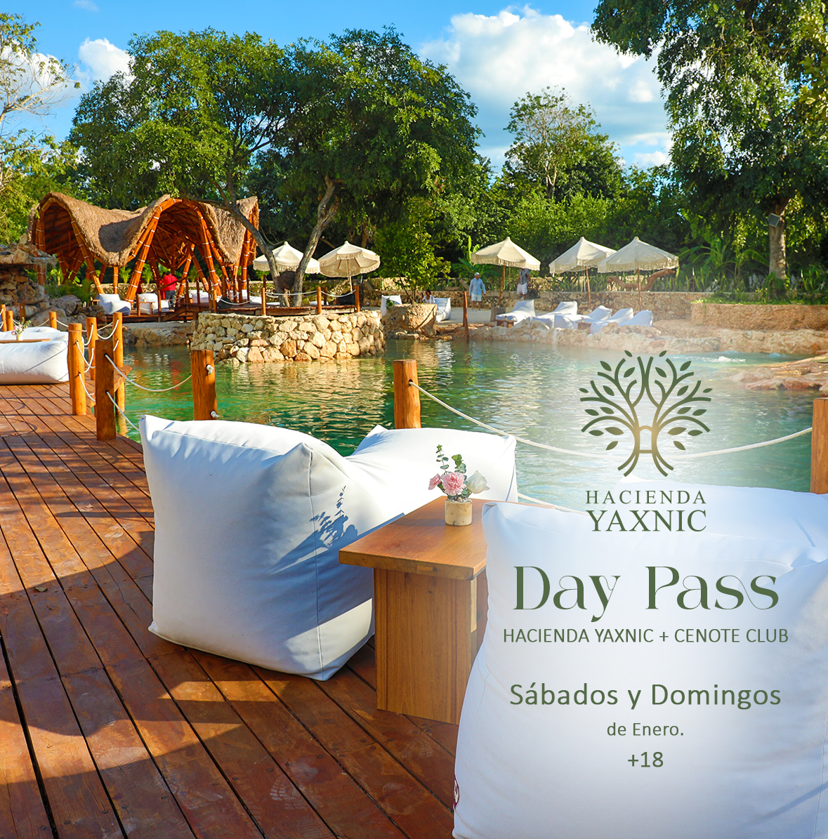 DAYPASS-ENERO